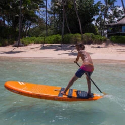 PAGAIE FANATIC RIPPER PURE VARIO 3 PARTIES 6.5 11 PAGAIE FANATIC RIPPER PURE VARIO 3 PARTIES 6.5 -Magasin De Bateaux pagaie fanatic ripper pure vario 3 parties 65 2